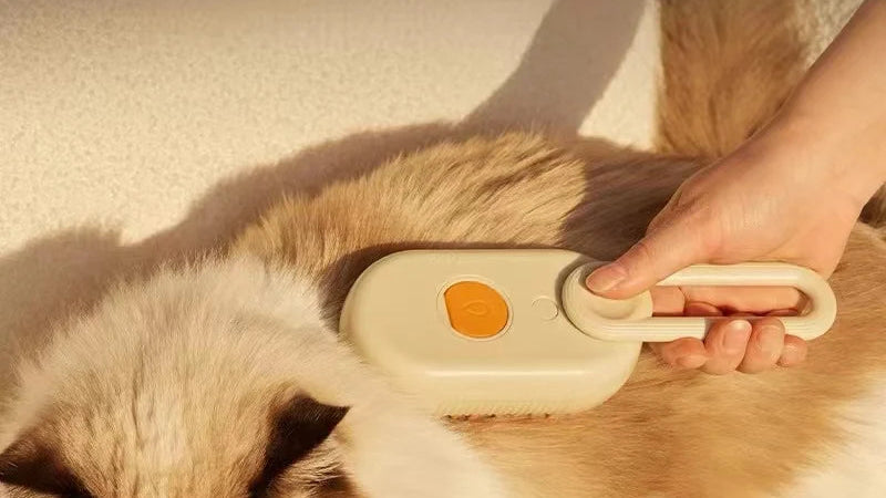 SteamBrush - Cepillo a Vapor Anti-Pelos (Masaje + Limpieza)